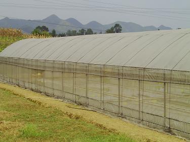 貴陽驚濤鋼結(jié)構(gòu)|貴陽卷閘門安裝|貴陽平式活動(dòng)板房|貴陽輕鋼廠房|貴州活動(dòng)板房安裝|貴州網(wǎng)架結(jié)構(gòu)|貴陽幕墻玻璃制作 活動(dòng)板房?jī)r(jià)格 - 貴州驚濤鋼結(jié)構(gòu)工程